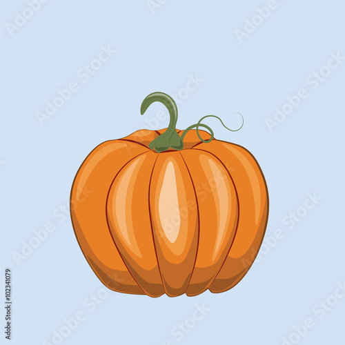 Fresh Pumpkin on blue background. Vector