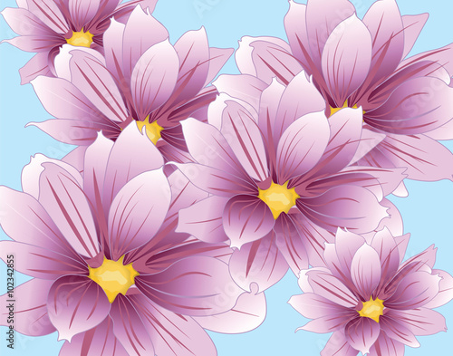 Lily flowers composition. Vector © castecodesign