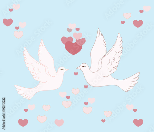 Two pigeons flying in sky with love hearts. Vector