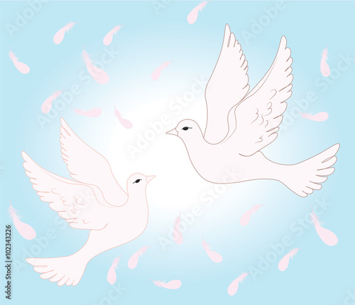 Two pigeons flying in sky of love. Vector