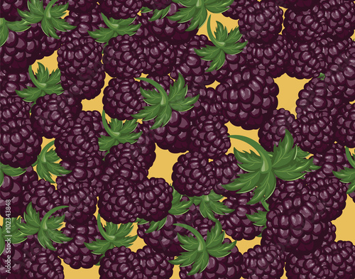 Blackberries delicious dessert. Vector
