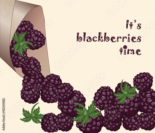 Blackberries Time! Fresh and juicy dessert. Vector
