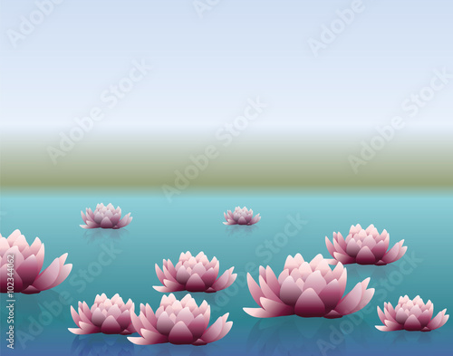 Water lily flower with reflection. Vector