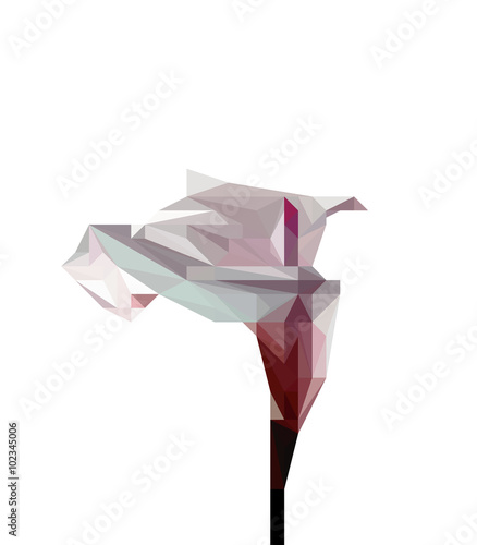 Illustration of abstract origami pink calla lily isolated on white background