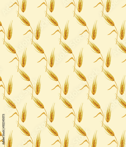 Wheat ears pattern design for labels or decoration. Vector