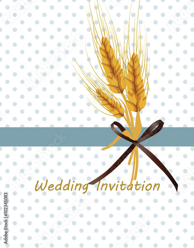 Wheat ears design for labels or decoration. Vector