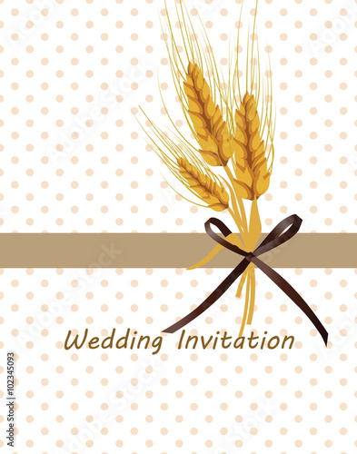 Wheat ears design for labels or decoration. Vector