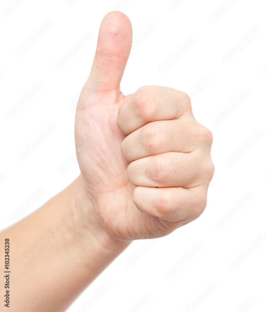 hand on a white background hand on a white background