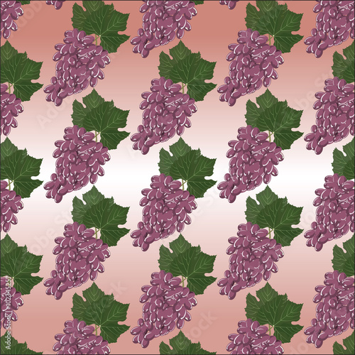 Grapes clusters pattern. Vector