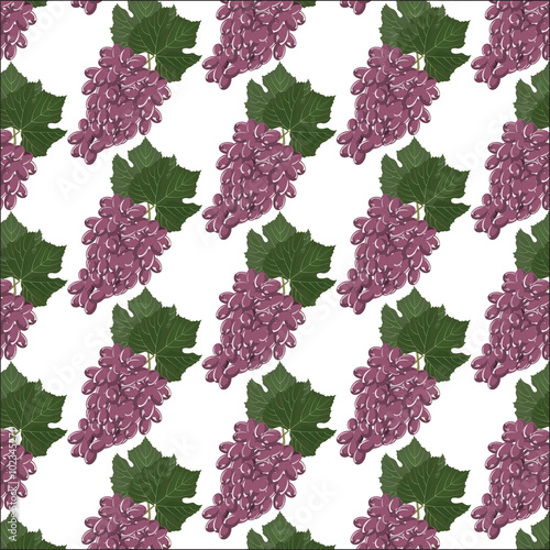 Grapes clusters pattern. Vector