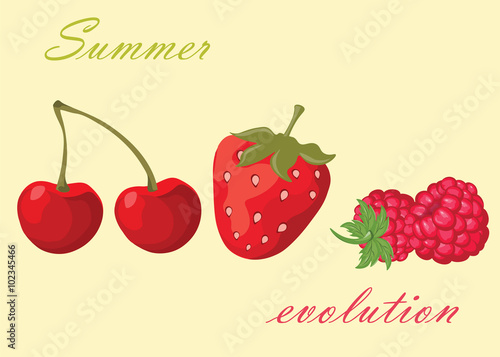 Cherry, strawberry and raspberry Summer background fruits. Vector