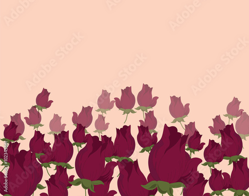 Roses background. Vector