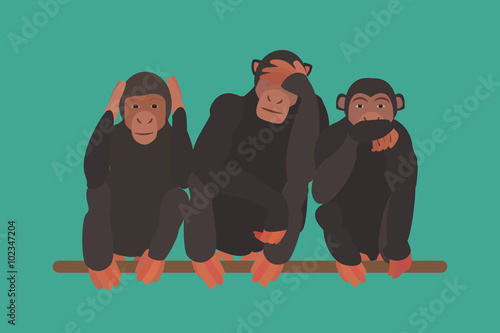 Three monkeys