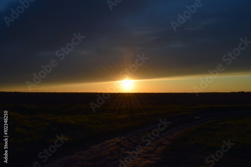 Sunset on a background field © eleonimages