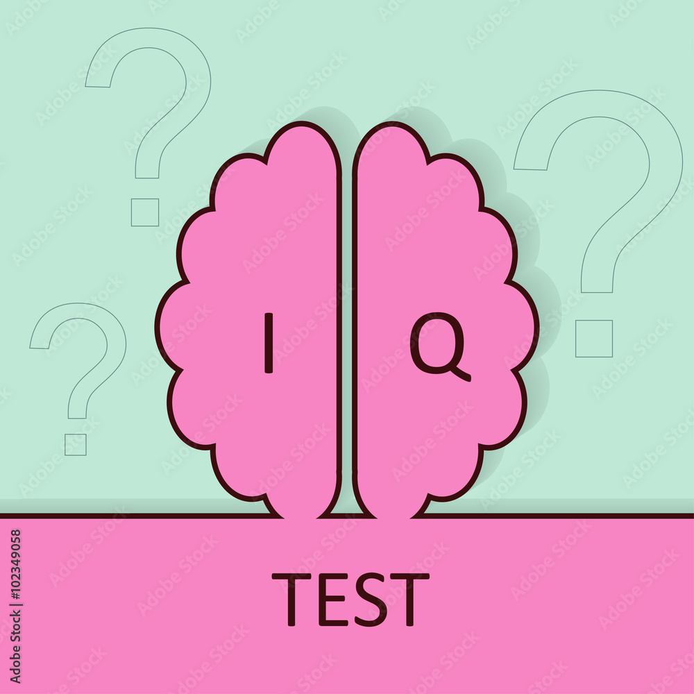 Test My Brain