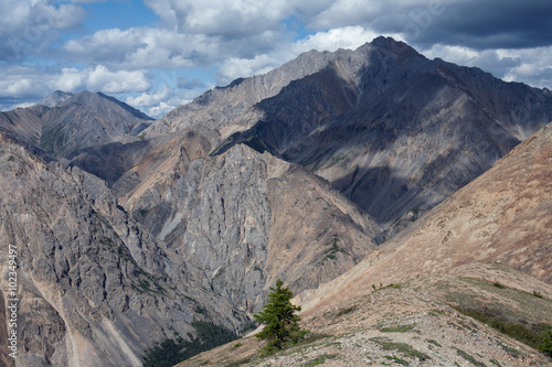Lonely larch at the top of the ridge. Omulyovka midlands. Magadan Region. Russia.