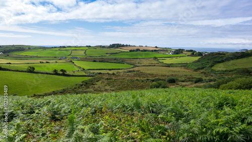 Irish green landscape