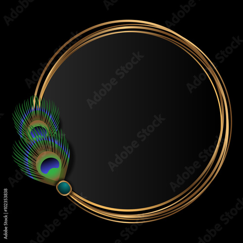 golden frame with peacock feathers
