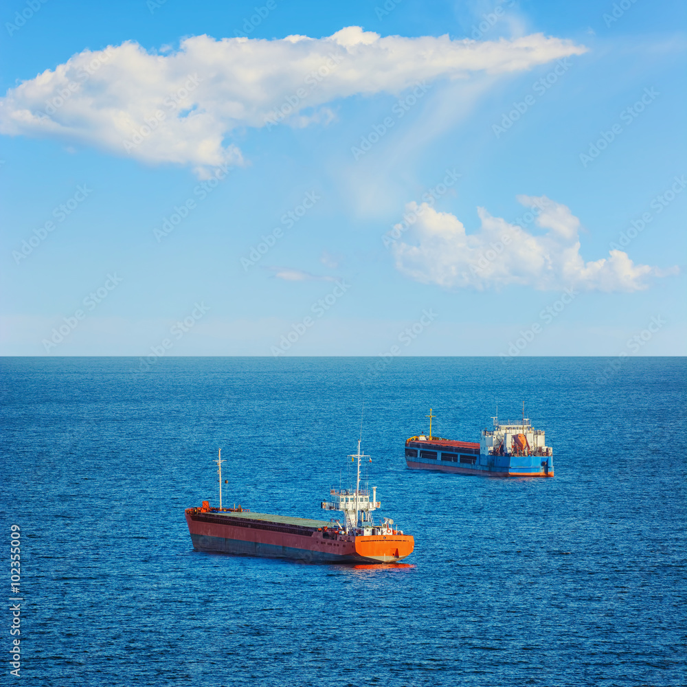 Cargo Ships in the Sea