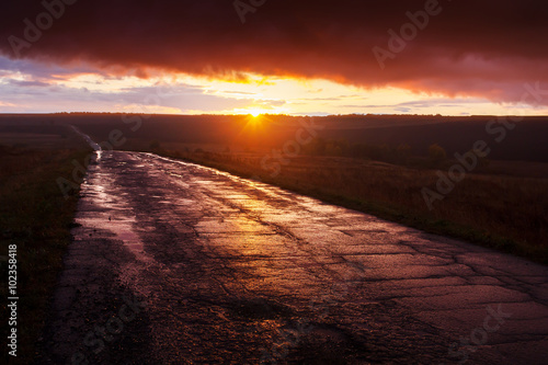 Beautiful nature landscape. Wet asphalt road after rain at sunset