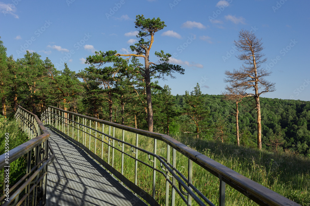 steel pathway with handrails on the forest mountain