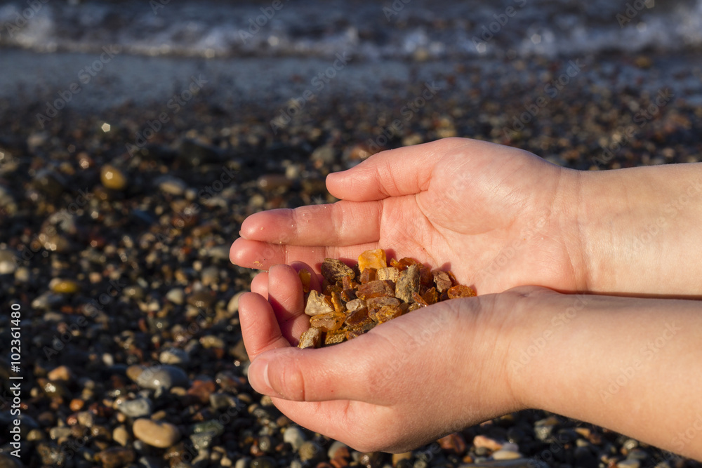 Some pieces of amber found on the Baltic seashore Some pieces of amber found on the Baltic seashore