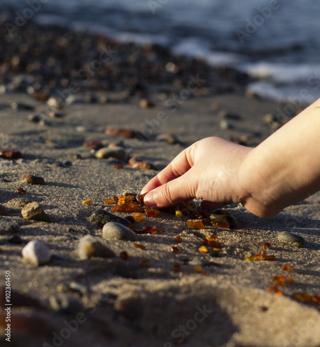 Some pieces of amber found on the Baltic seashore 
