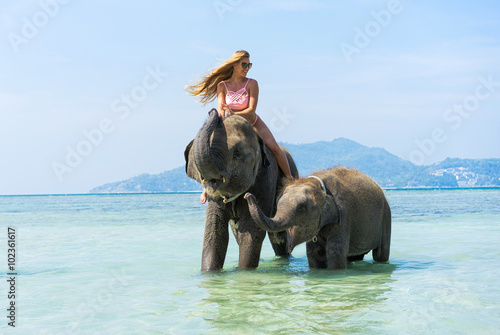 Photography Woman ride on elephant with baby elephant  in the sea