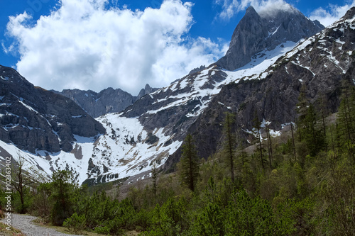 Spring mountain scenery with green forest and snow covered mountains photo