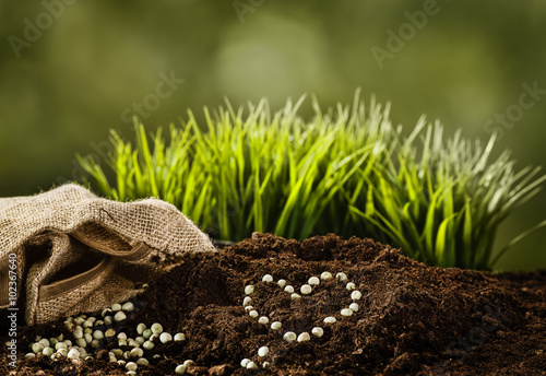 Fototapeta Naklejka Na Ścianę i Meble -  Planting a plant, heart symbol
