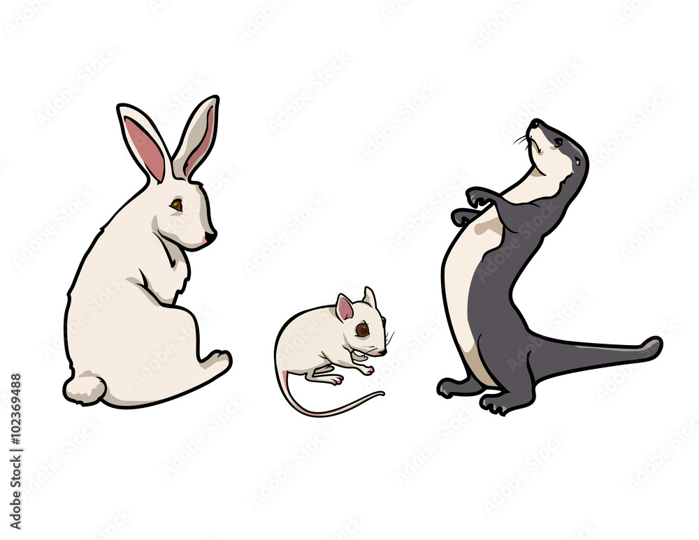 cartoon vector illustration of a rabbit mouse and ferret cartoon vector illustration of a rabbit mouse and ferret