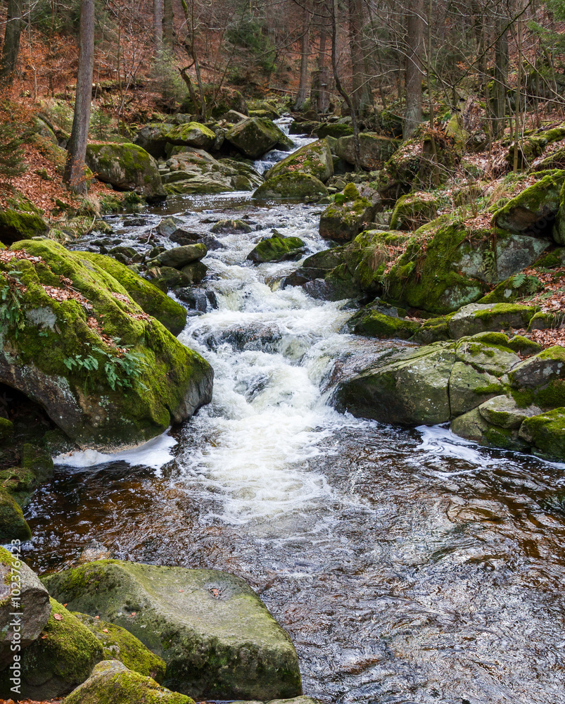Nationalpark Harz Ilsetal Ilsefall Nationalpark Harz Ilsetal Ilsefall