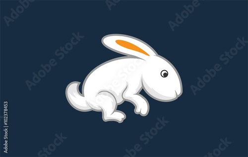 cute rabbit