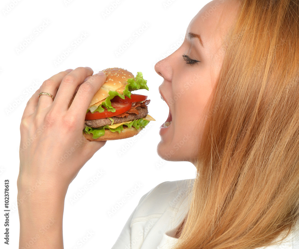 Fast food concept. Tasty unhealthy burger sandwich Fast food concept. Tasty unhealthy burger sandwich
