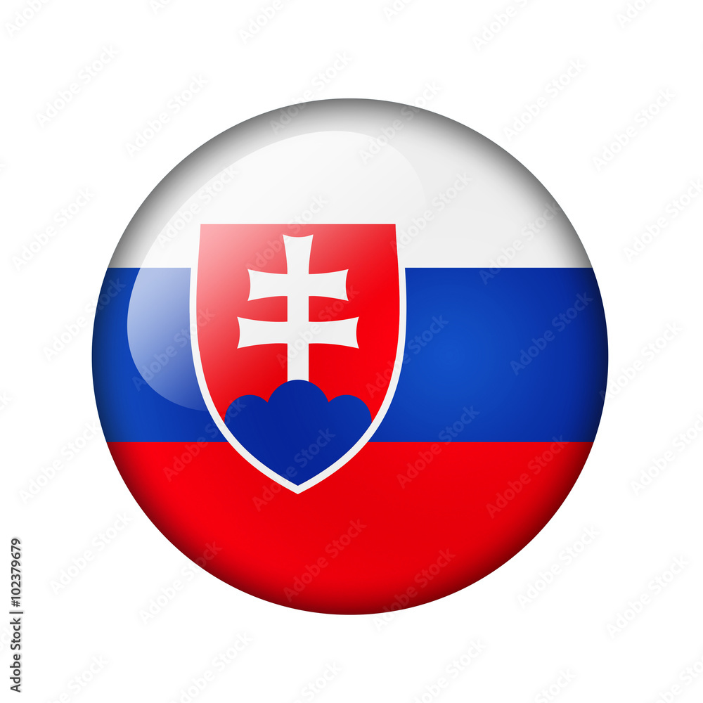 Obraz premium The Slovakia flag