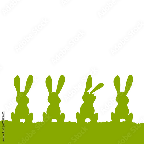 Hase