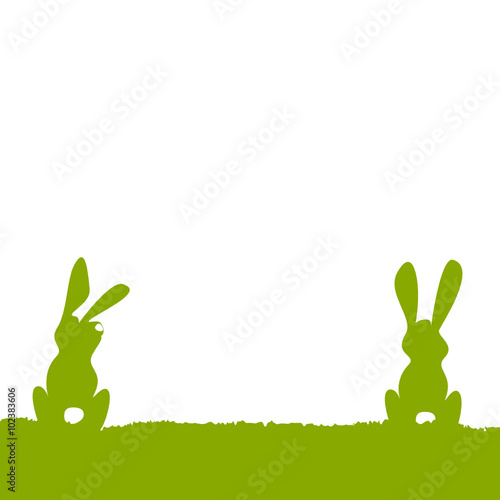 Hase