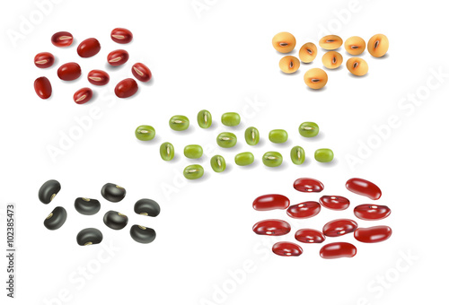 An Illustration Collection of Different Dried Beans, Mung Bean, Kidney Bean, Black Eye Bean, Soy Bean and Yellow Split Peas