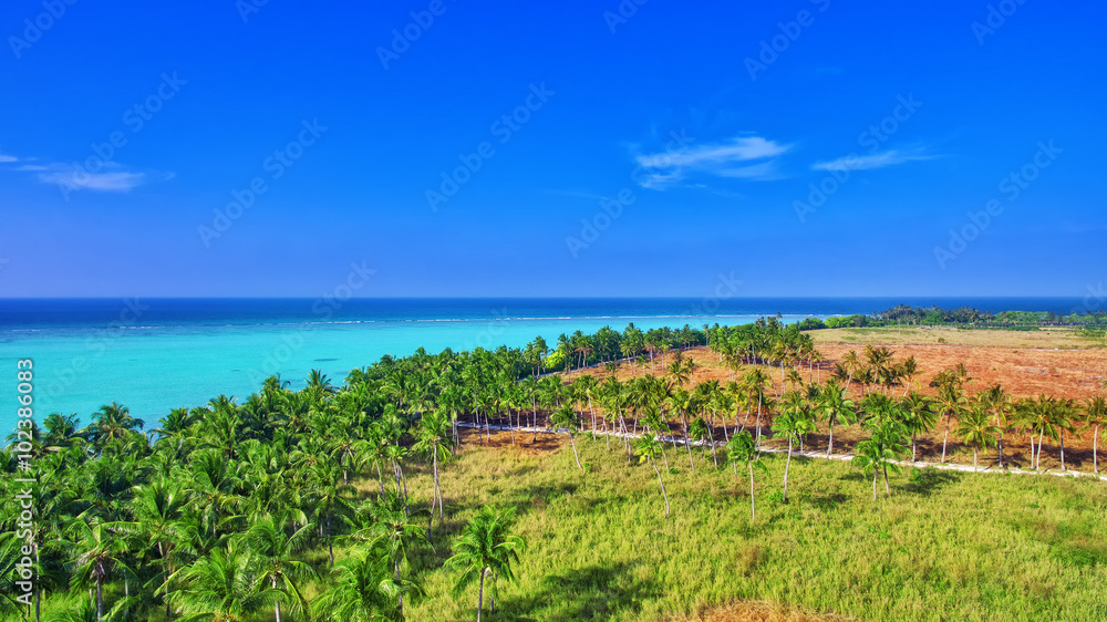 Beautiful tropical island from above. Maldives, whole island Tho