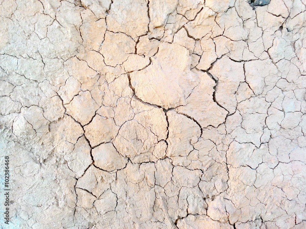 Fototapeta premium Cracked and barren ground