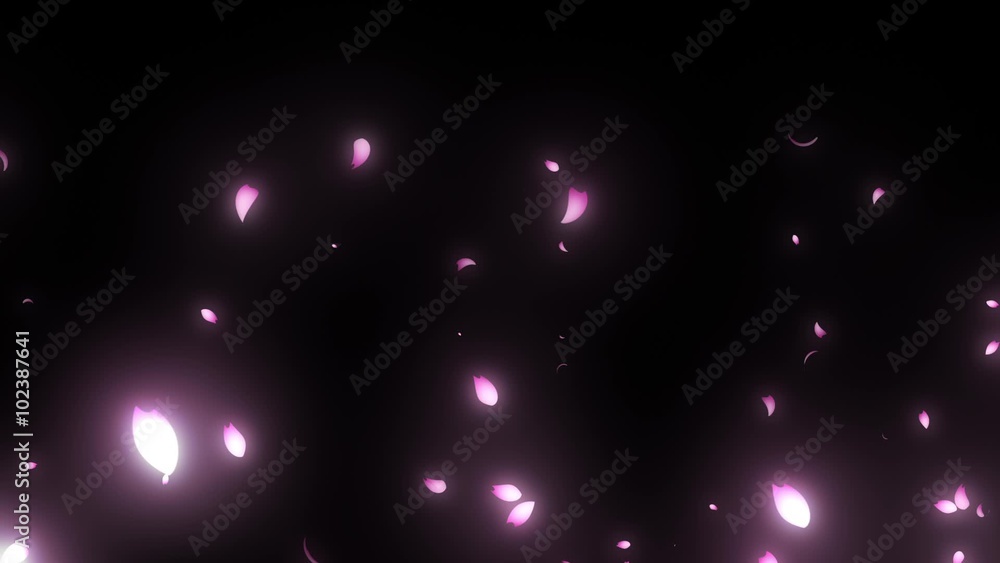 流れていく桜 高速 pass through cherry blossoms high speed 流れていく桜 高速 pass through cherry blossoms high speed