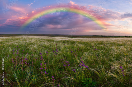 Spring landscape with rainbow