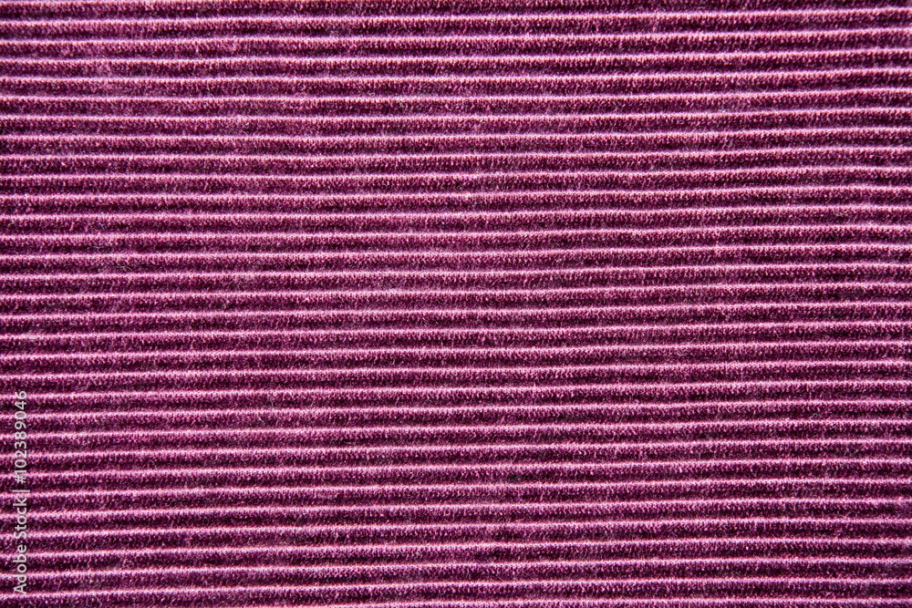 Fototapeta premium Background texture of purple striped velvet closeup