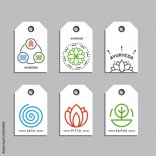 Ayurveda body types