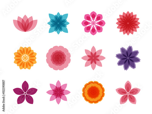 colorful flowers icon set