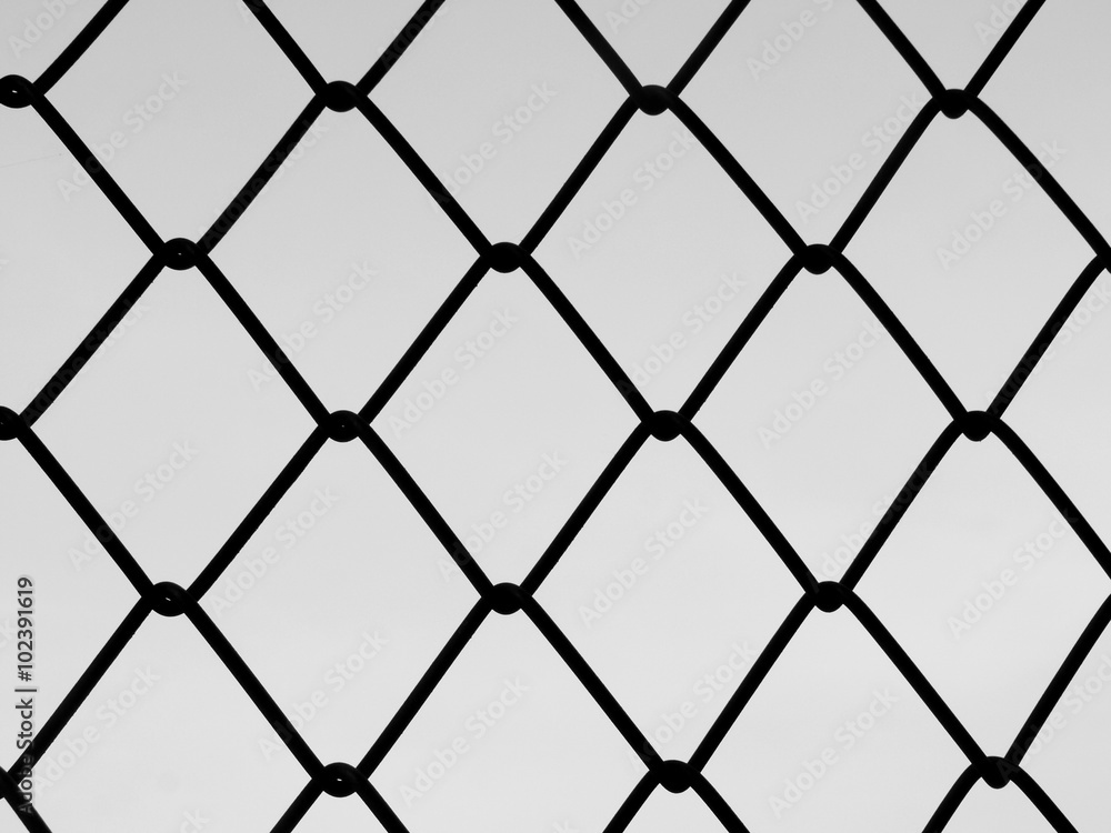 wire mesh wire mesh