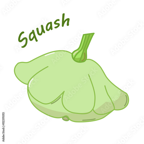 Isolated squash icon