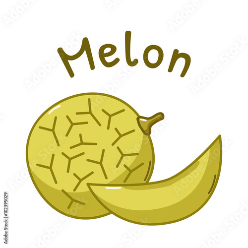 Isolated melon icon