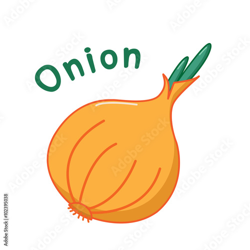 Isolated onion icon