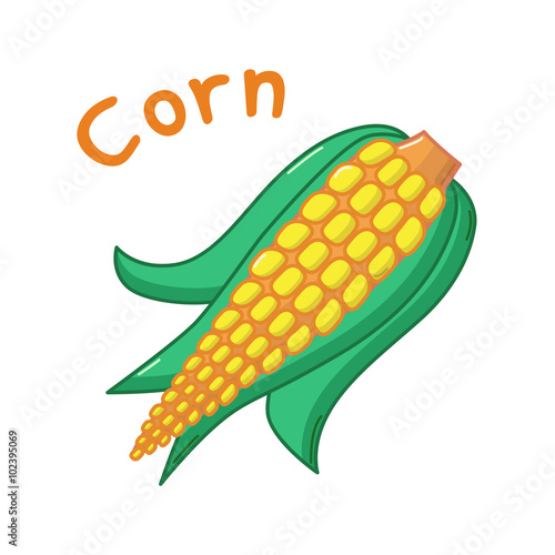 Isolated corn icon